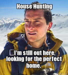 House Hunting