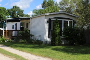 Michigan Center Home For Sale